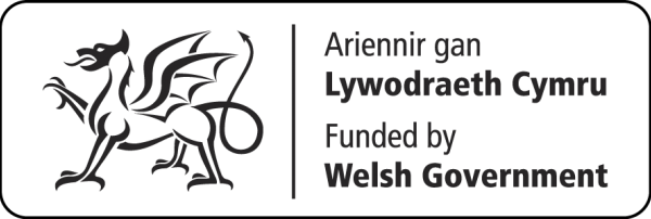 Activity groups for older people funded by the Welsh government